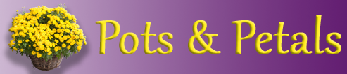Pots & Petals logo